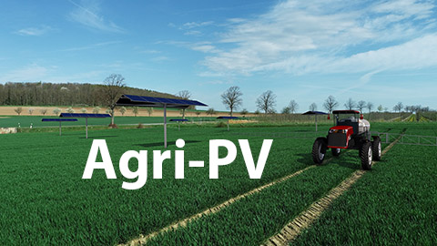 4Disc Solarpark - Agri PV